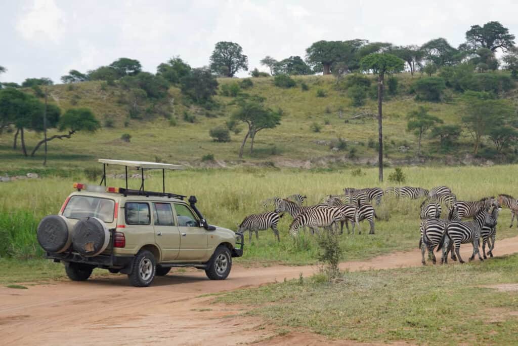 Homepage Private safari game drive in Tanzania